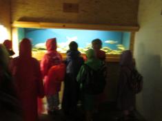 Indiánskou stezkou - 3. den