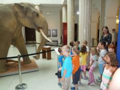 Výlet - Slezské zemské muzeum