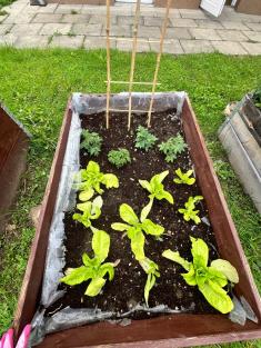 Zvířátka v trávě